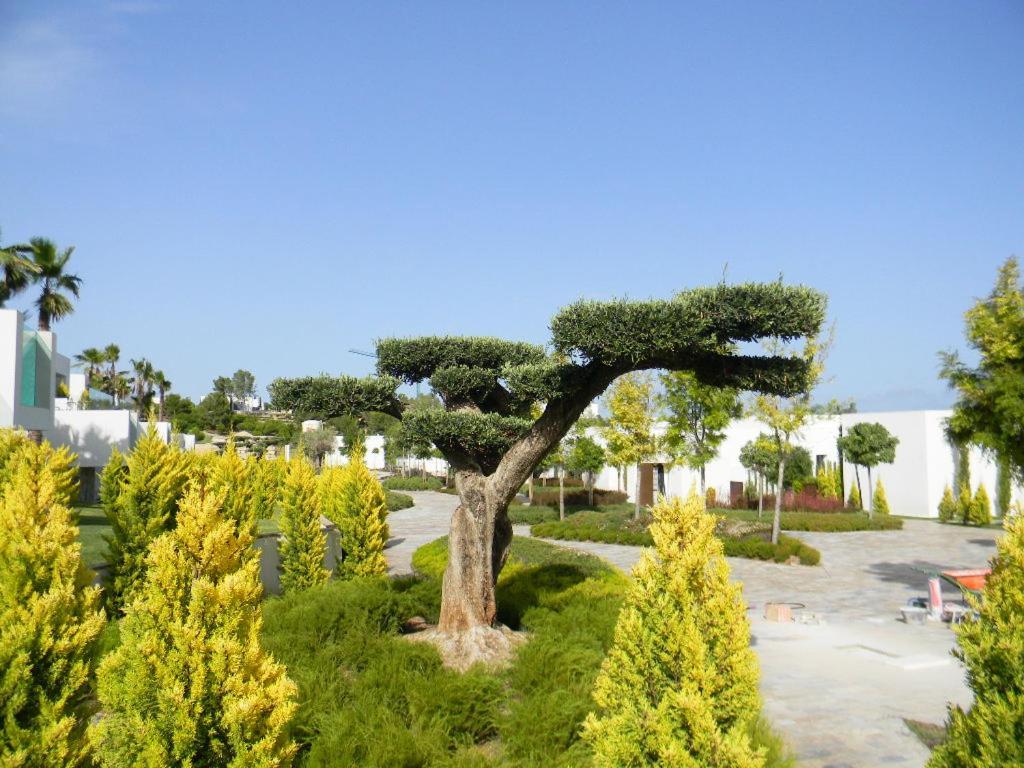 Limonero 17, Golf Club In Las Colinas Dehesa de Campoamor  Eksteriør billede